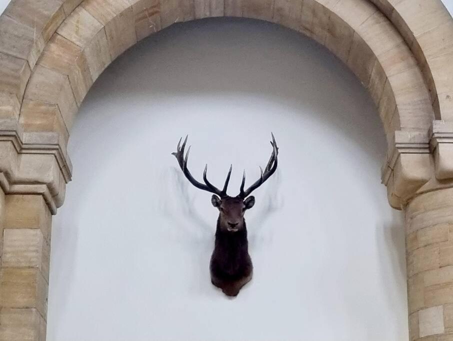 포트오거스타 Loch Ness - Luxury Highland Retreat In Scotland 아파트 외부 사진